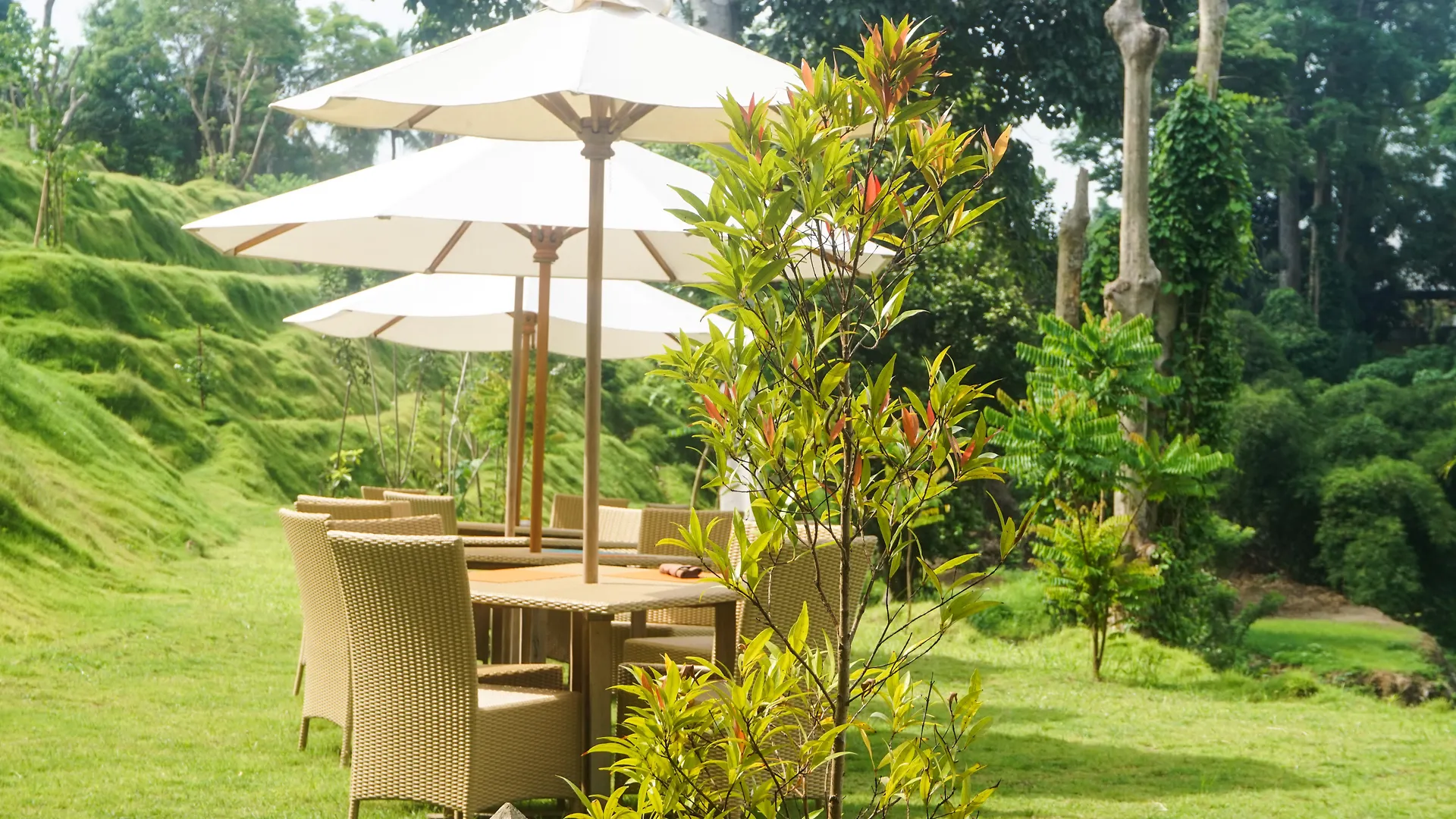 Resort Sthala, A Tribute Portfolio Hotel, Ubud Bali